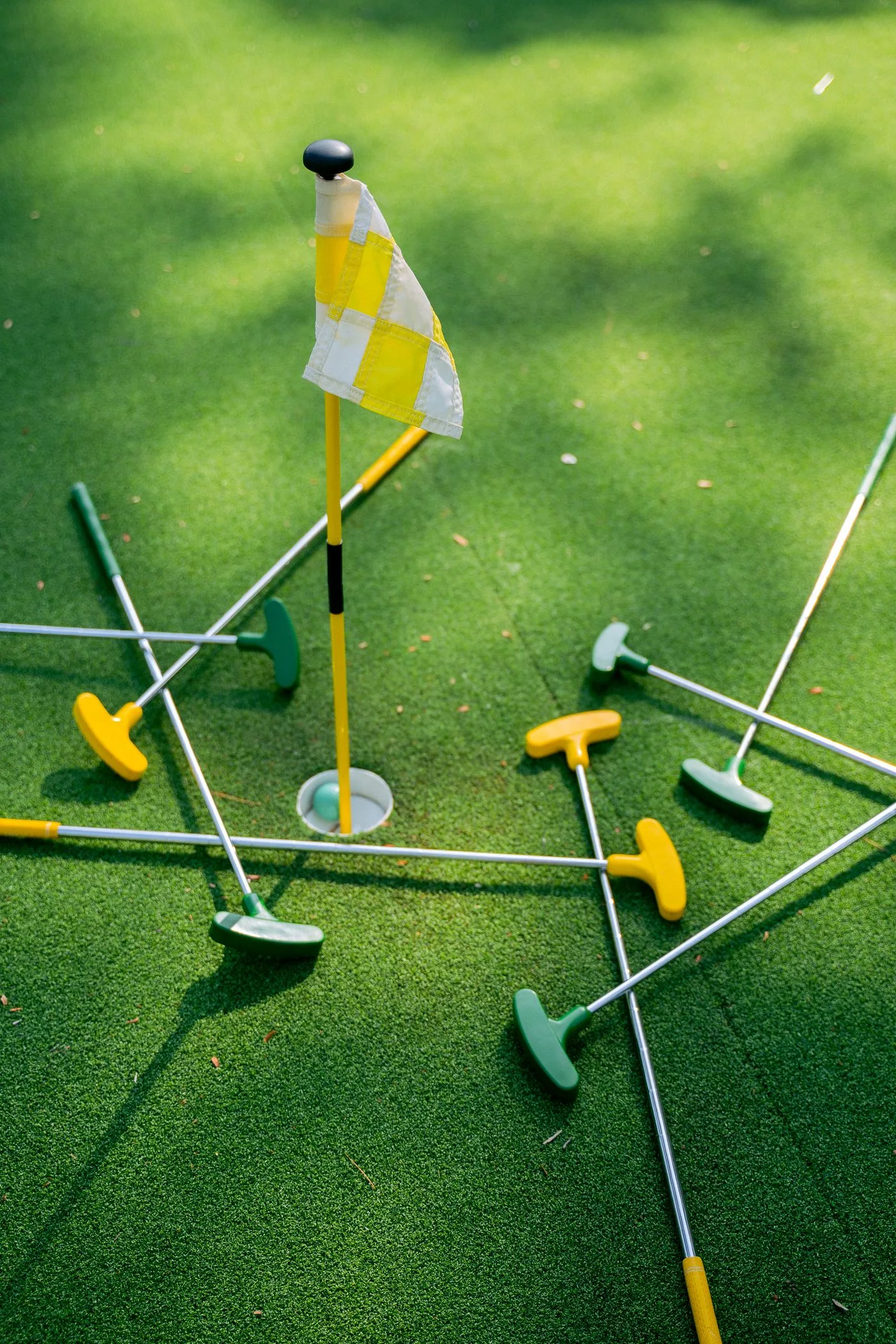 Backyard putting green