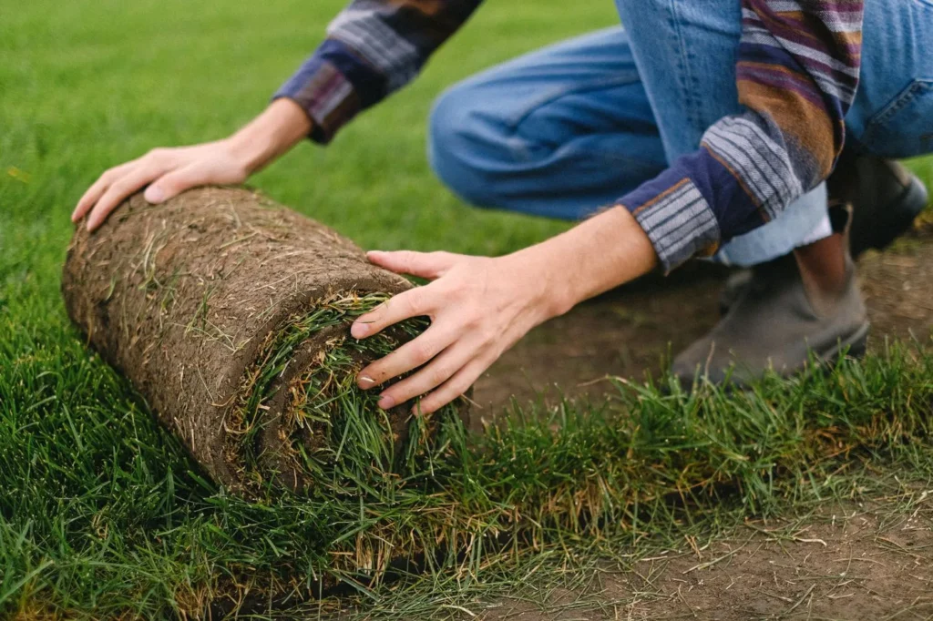 Installer rolling out a strip of turf over a smooth, prepared base
